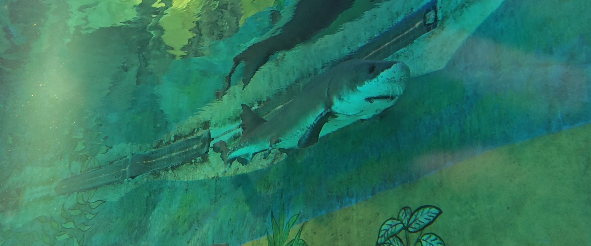 生日庆祝场景，生日蛋糕前的情侣，烛光映照两人的笑脸，温馨浪漫